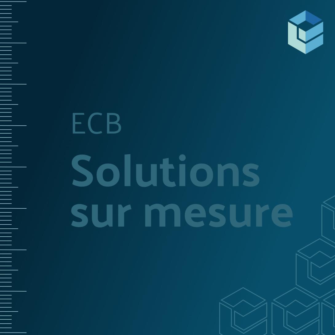 Les solutions personnalisées ECB